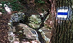 gctmrd-IMG_0254
