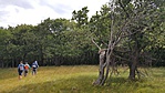 20170618_092311