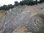 P6210101