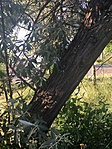 IMG_1842