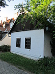 IMG_3548