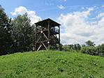 IMG_3695