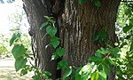 20170618_140230
