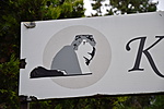 DSC_1005