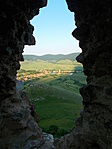 DSCN5806