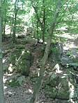 20170603_135337