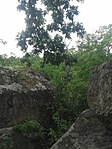 20170603_142739