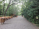 IMG_20170625_095835