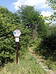 IMG_20170622_162828