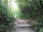 IMG_20170622_163039