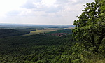 Oroszlány felé