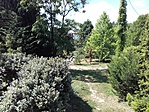 20170619_110843