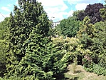 20170619_110847