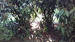 20170611_180937