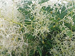 20170610_144338