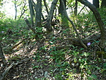 P1070375