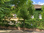 Budai Arboretum