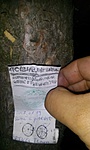 Isaszeg emlékmű