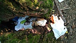 IMG_20170604_174614