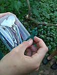 IMG_20170604_174844
