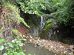 DSCN9326