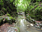 DSCN9333