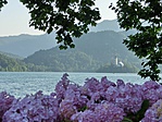 Cimg8788