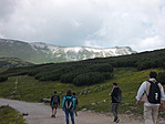 DSCN6238