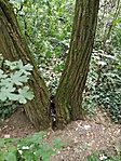 IMG_20170731_125104
