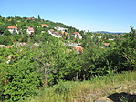 IMG_6683