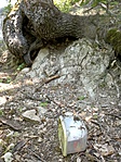 DSC00094