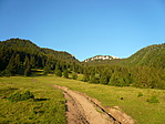 Lefele