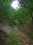 Antónia-árok