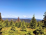IMG_5736