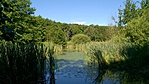 WP_20170701_007