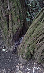 20170726_191053