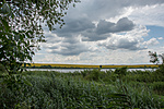 _DSC9383
