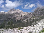 Köves