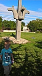 WP_20170730_17_12_02_Pro