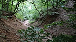 IMG_20170721_060724