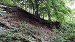 IMG_20170721_063453