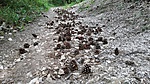 IMG_20170721_065732