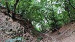IMG_20170721_065947