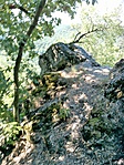 DSC00693