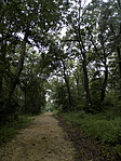 P7010013