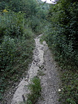 P7270069