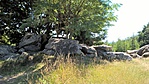 WP_20170706_13_39_18_Pro (5)