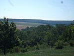 Zamárdi 023