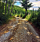 gcglmp-IMG_1879