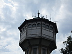 IMG_6795